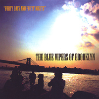 The Blue Vipers of Brooklyn - Forty Days And Forty Nights