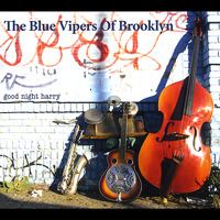 The Blue Vipers of Brooklyn - Good Night Harry