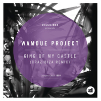 Wamdue Project - King Of My Castle (Crazibiza Remix)