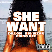 Dillon - She Want (feat. Big Vizar , Princ Dee) - Single (Explicit)
