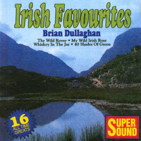 Brian Dullaghan - Irish Favourites