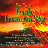 Edgar Villarroel - Panpipes: Irish Tranquility