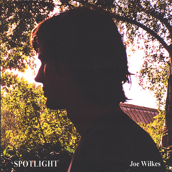 Joe Wilkes - Spotlight