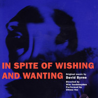 David Byrne - In Spite Of Wishing And Wanting