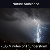Audionym - Thunderstorm Nature Ambience (Rain, Thunder, Lightning, Ambience, Nature Sound, Storm, Wind, Weather, Atmosphere, Soothing, Background)