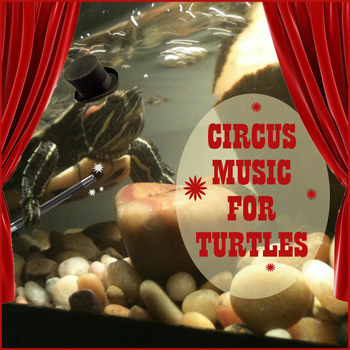 Sounds of the Circus South Shore Concert Band - Circus Music for Turtles