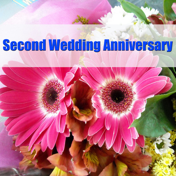 Various Artists - Second Wedding Anniversary