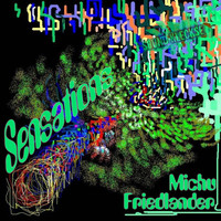 Michu Friedlander - Sensations