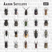 Aaron Sutcliffe - Wavertree