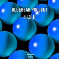 Bluebear Project - F.I.S.U