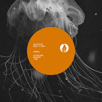 Dotstripe - Make a Wish EP