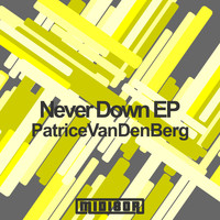 PatriceVanDenBerg - Never Down