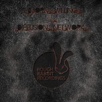 Bjoern Willing - Diffusion Network
