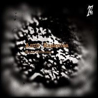 Amir Razanica - Serious Difficulties
