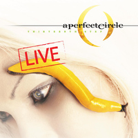 A Perfect Circle - Thirteenth Step - Live