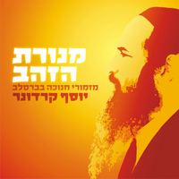 Yosef Karduner - The Golden Menorah