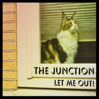 The Junction - Let me out!