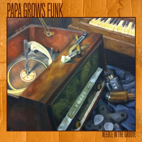 Papa Grows Funk - Needle in the Groove