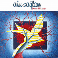 Ahu Sağlam - Senin Hikayen