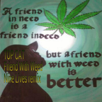 Top Cat - Friend With Weed (Nine Lives Remix)