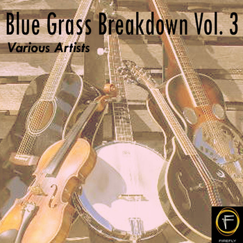 Various Artists - Blue Grass Breakdown, Vol. 3