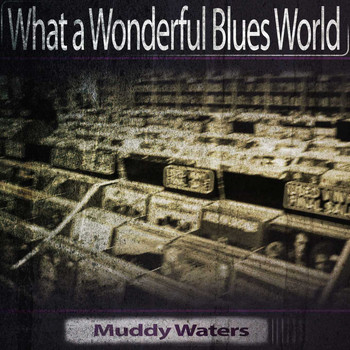 Muddy Waters - What a Wonderful Blues World