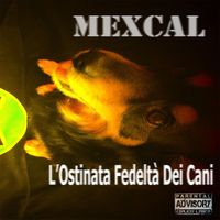 Mexcal - L'ostinata Fedeltà Dei Cani