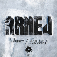 Arnej - The Burrow / This Isn’t Goodbye