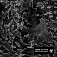 Loxy & Resound - Loxy & Resound