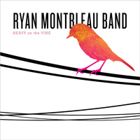Ryan Montbleau Band - Heavy On the Vine
