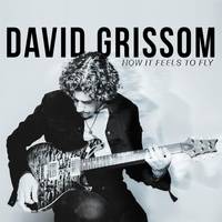 David Grissom - How It Feels to Fly