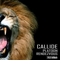 Callide - Platoon / Rendezvous