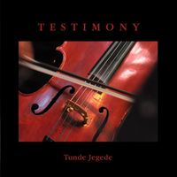 Tunde Jegede - Testimony