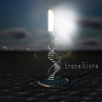 Maurizio Miceli - Maurizio Miceli - Transitions