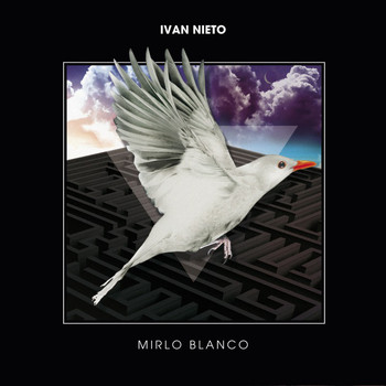 Ivan Nieto - Mirlo Blanco