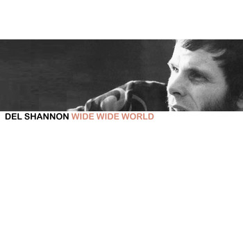 Del Shannon - Wide Wide World