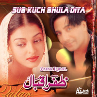 Zafar Iqbal - Sab Kuch Bhula Diya