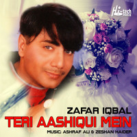 Zafar Iqbal - Teri Aashqui Mein