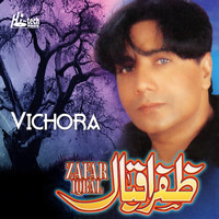 Zafar Iqbal - Vichora