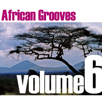 Various Artists - African Grooves Vol.6
