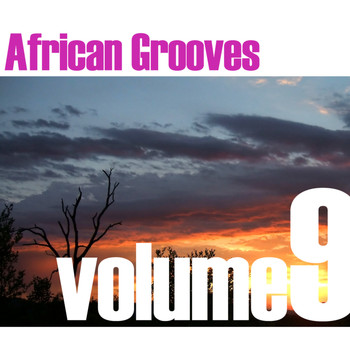 Various Artists - African Grooves Vol.9