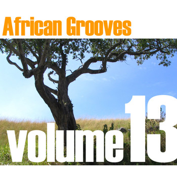 Various Artists - African Grooves Vol.13