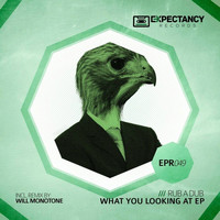 Rub A Dub - What You Looking At Ep