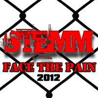 Stemm - Face The Pain 2012