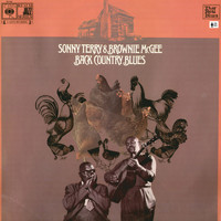 Sonny Terry - Back Country Blues