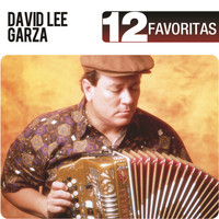 David Lee Garza - 12 Favoritas