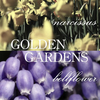 Golden Gardens - Narcissus and Bellflower