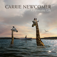 Carrie Newcomer - A Permeable Life