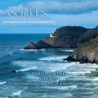 Dan Gibson's Solitudes - Solitudes, Vol. 9: Seascapes
