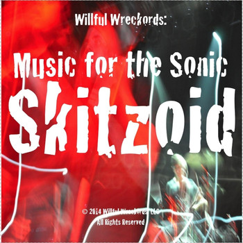 Various Artists - Music for the Sonic Skitzoid (Willful Wreckords Presents)